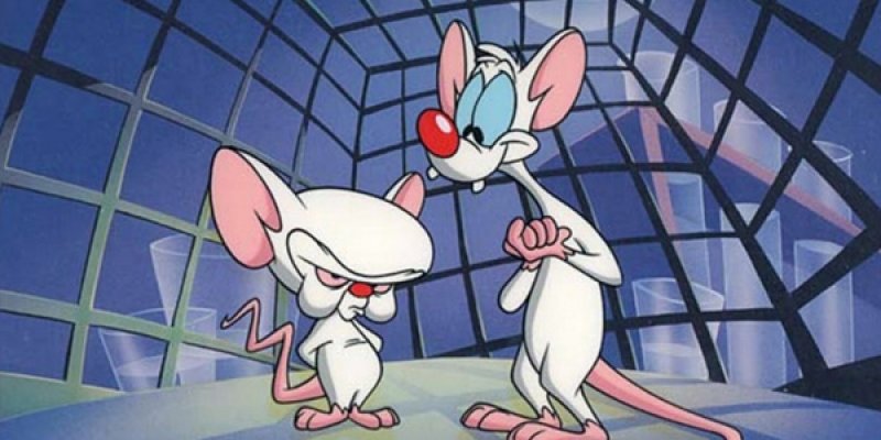 Pinky and The Brain tv comedy series 2000
