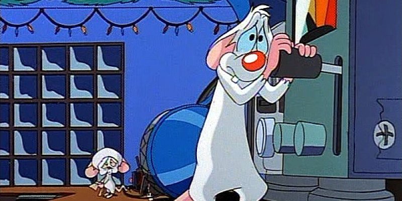 Pinky and The Brain tv comedy series 2000